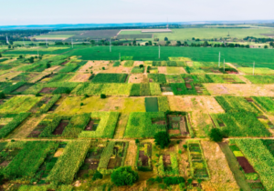 imagem de cima de um campo