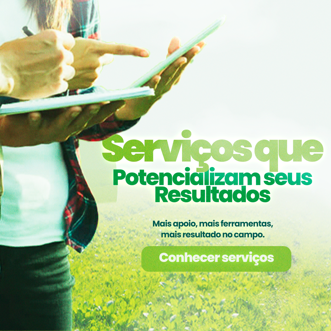 Serviços que potencializam seus resultados