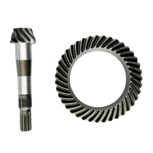 CJ. COROA E PINHAO - 5142023