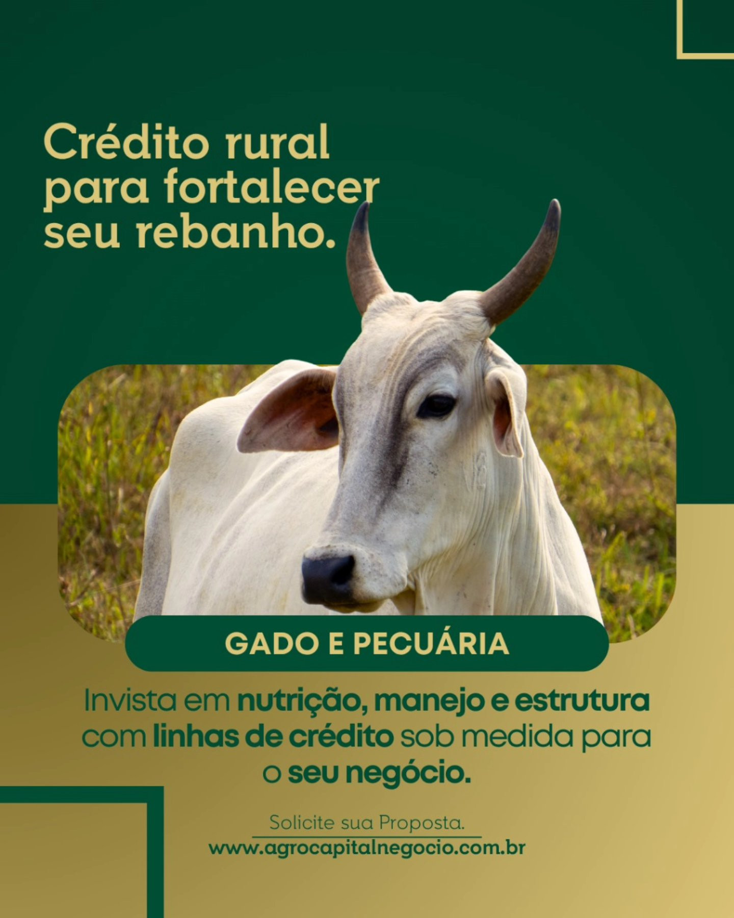 CRÉDITO RURAL PARA SUA PECUÁRIA CRESCER R$ 690.000,00 