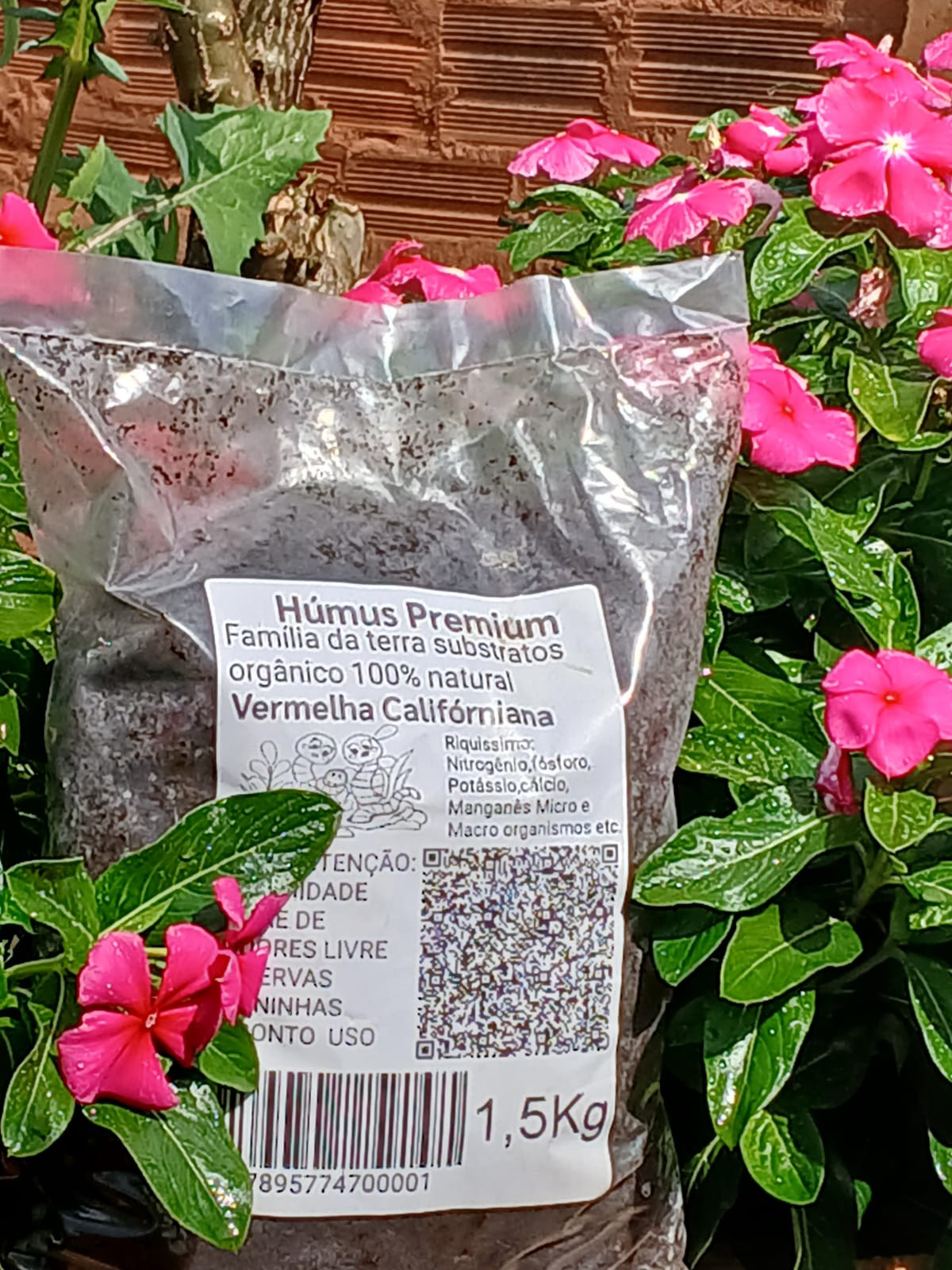 Húmus Premium de minhoca vermelha Califórniana - 1,5Kg