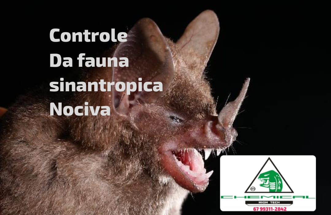 Vampiricida veneno para acabar morcegos dracun 