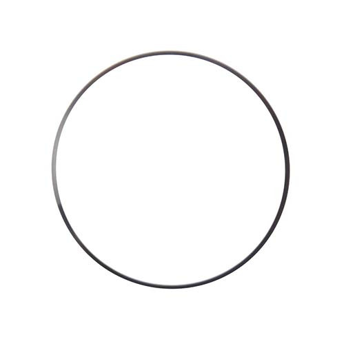 file_name_3009878_1