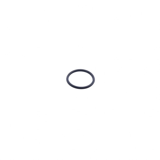 file_name_3009888_1