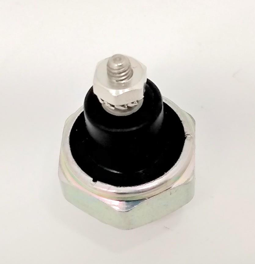 BULBO DE OLEO (D-15491)