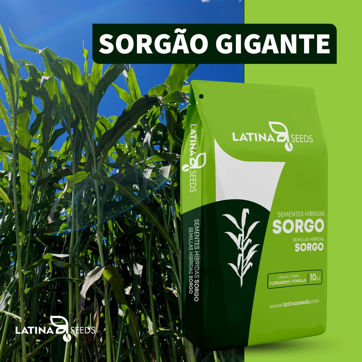 Sorgo Gigante AGRI 002E