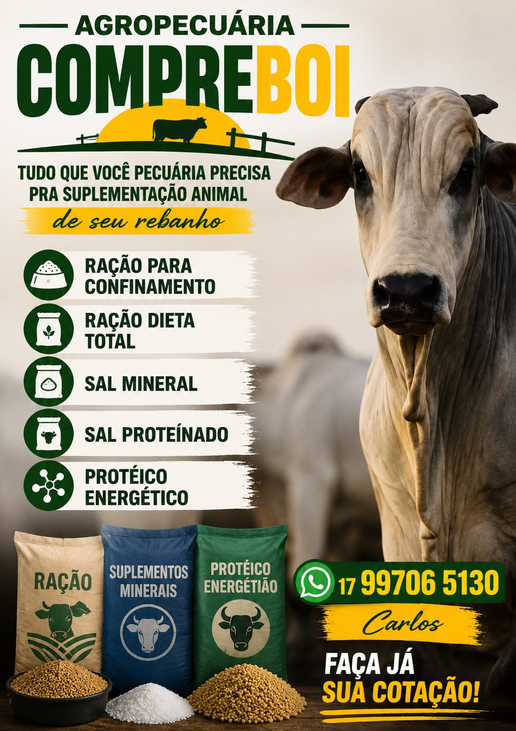 RAÇÃO DIETA TOTAL 