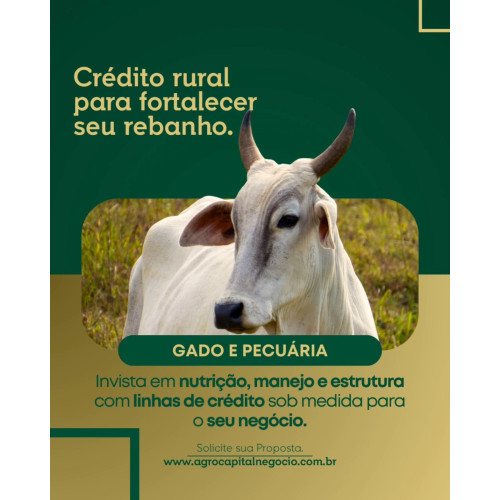   CRÉDITO RURAL PARA SUA PECUÁRIA CRESCER R$ 880.000,00 