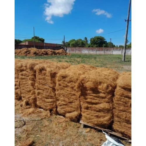 Fibra de Coco Longa, Curta ou Picotada