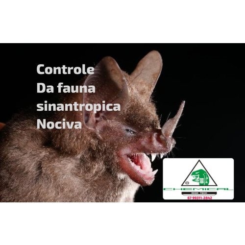 Vampiricida veneno para acabar morcegos dracun 