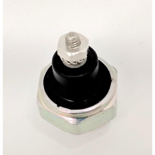 BULBO DE OLEO (D-15491)