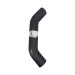 file_name_10153_1.jpg