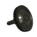 file_name_2079_1