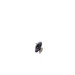 file_name_3011018_2