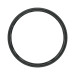 file_name_55911_2