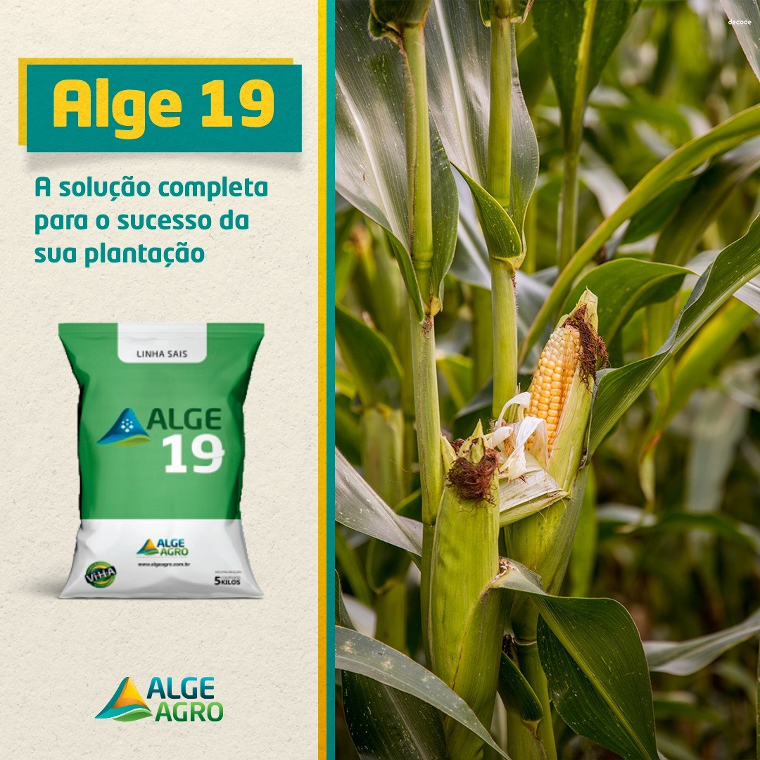 ALGE 19 fertilizante mineral foliar