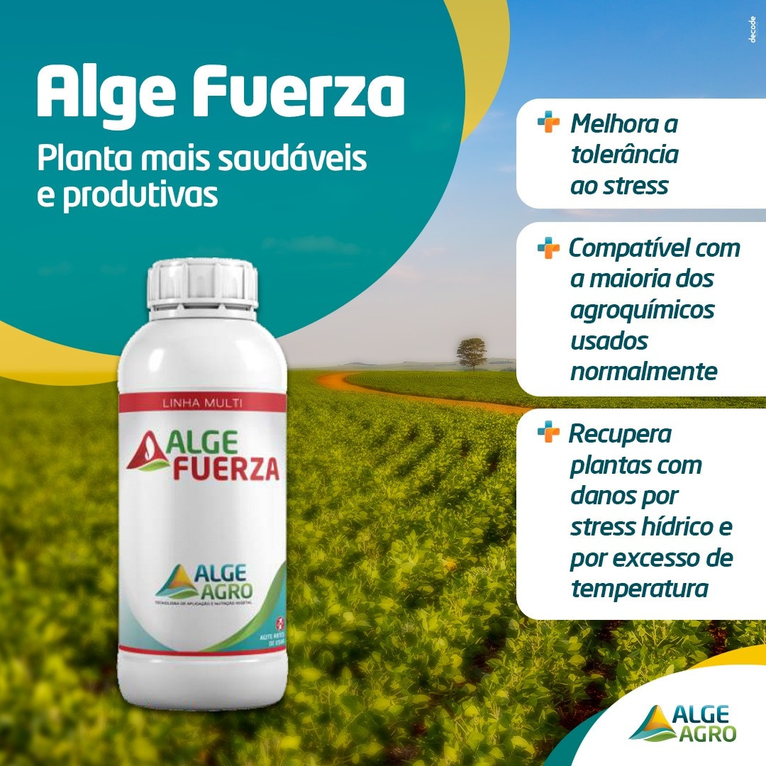 ALGE FUERZA