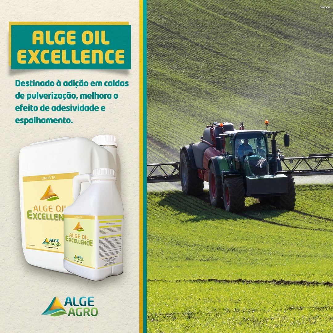 ALGE OIL EXCELLENCE