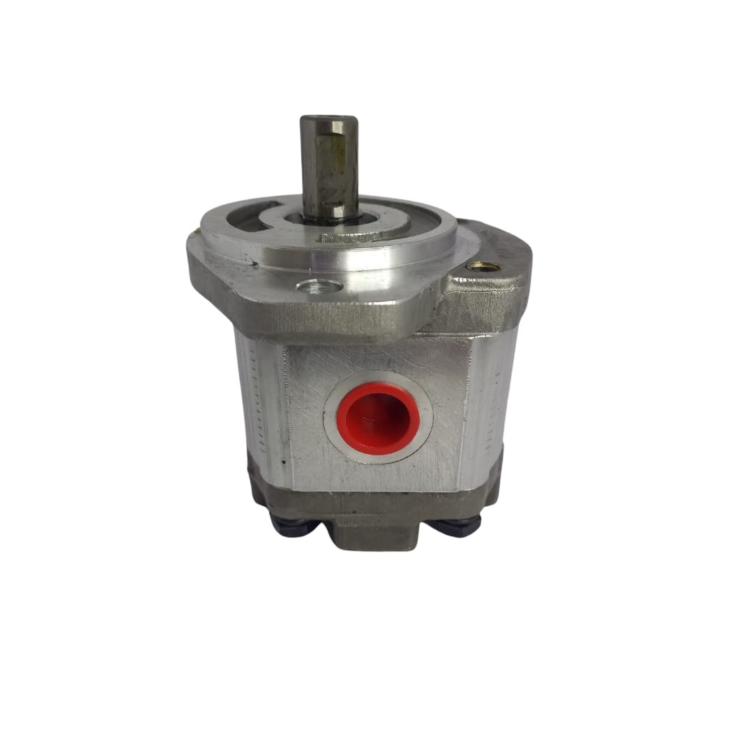 12151008016 BOMBA MOTOR M304