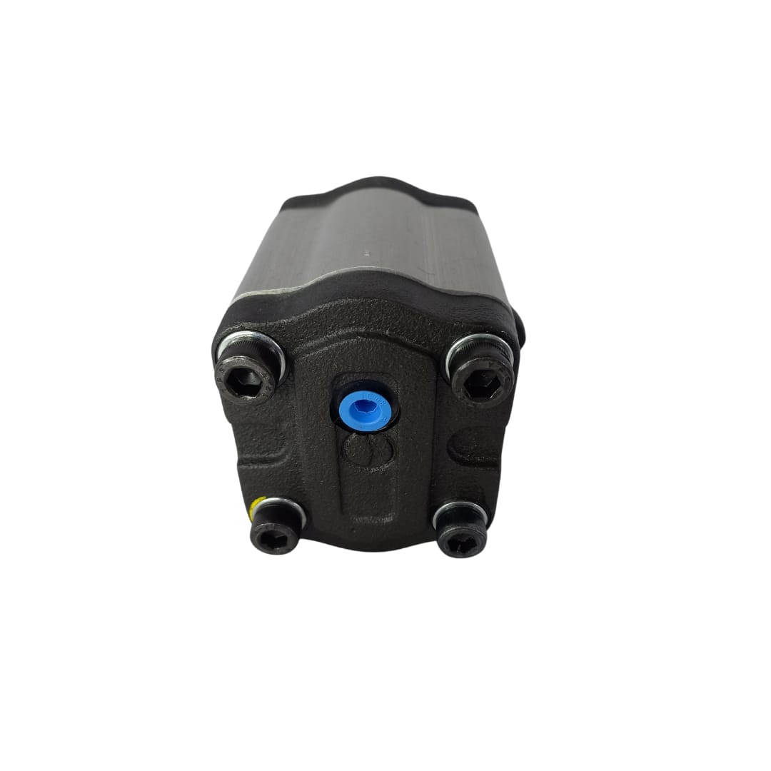 5520905495  MOTOR HIDR CAMINHAO LEITE