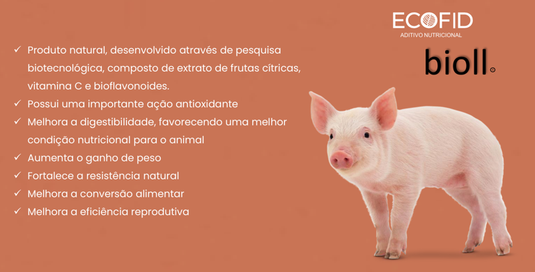 Bioll - maior produção e resistência para suínos - 5 litros