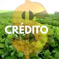 CRÉDITOS PARA O AGRONEGOCIO