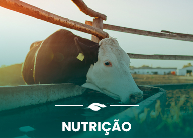 Nutrição Animal